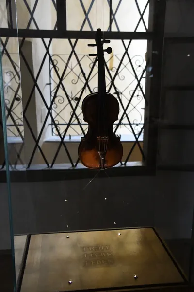 DSC_6224 (Large).JPG